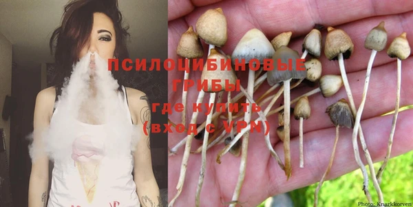 PSILOCYBIN Балабаново